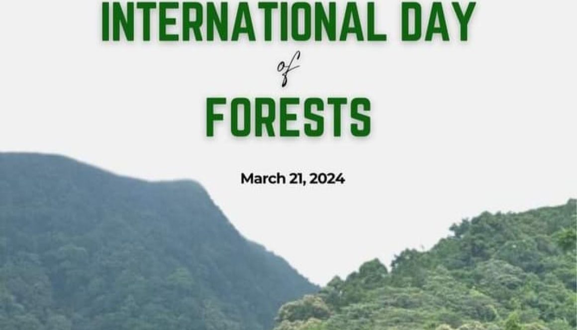 international forest day-2