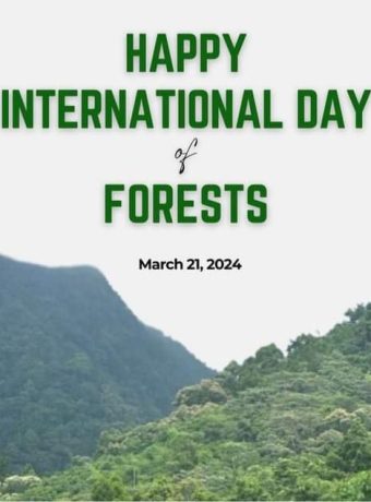international forest day-2